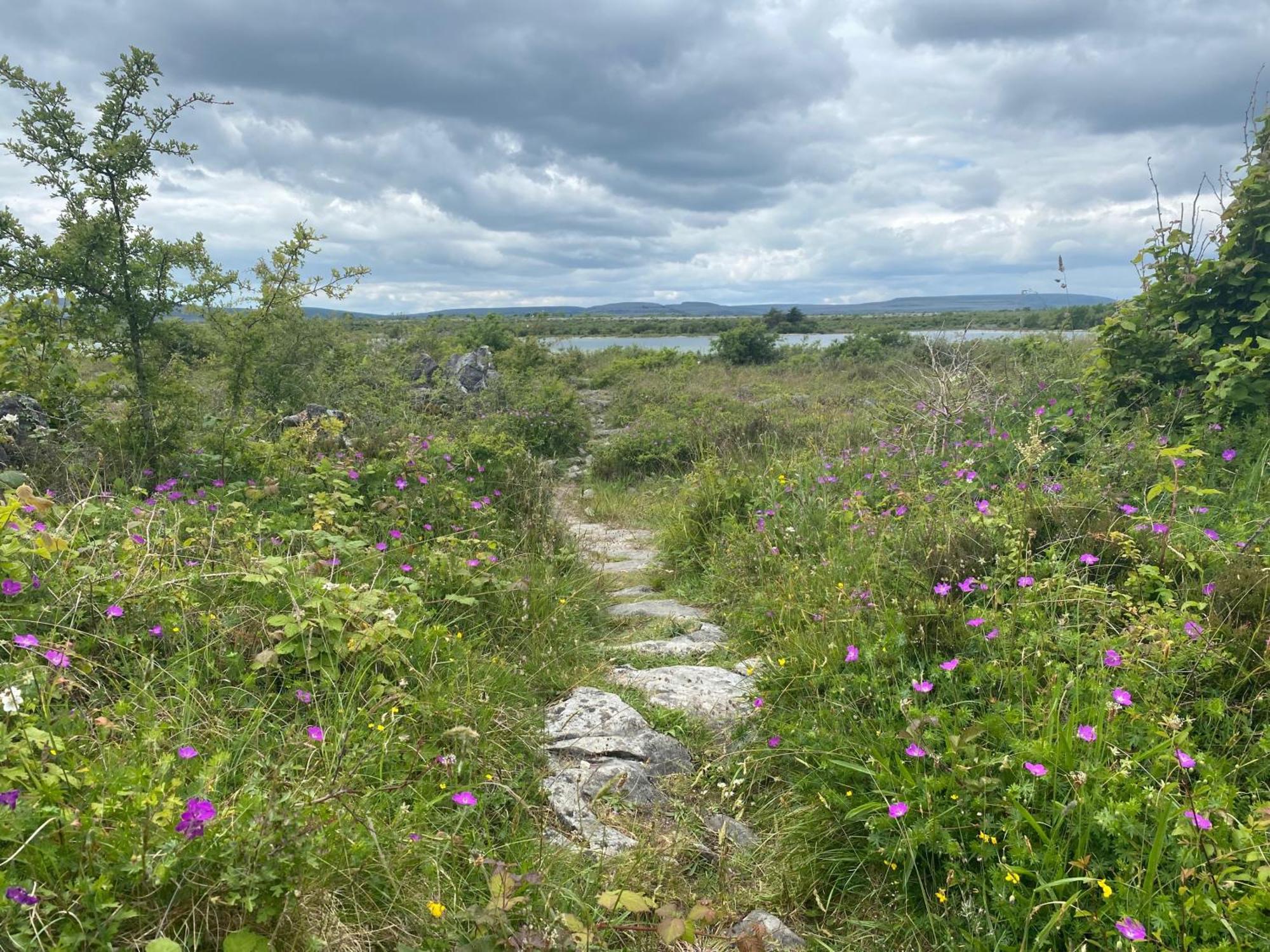 Boston Luxury Glamping Dome With Views Of The Burren 빌라 외부 사진